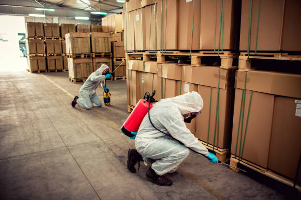Best Residential Pest Control  in Austin, AR