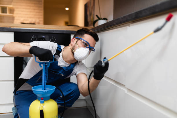 Best Local Pest Control Services  in Austin, AR