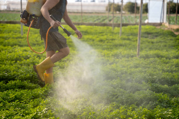Best Mosquito Control Services  in Austin, AR