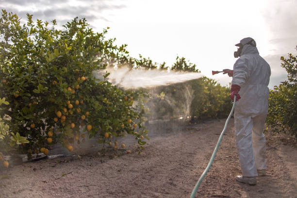 Best Emergency Pest Control  in Austin, AR