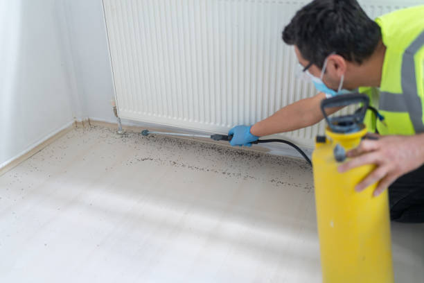Best Termite Control Services  in Austin, AR