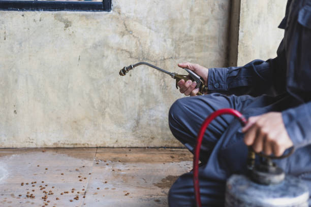 Flea Control Services in Austin, AR